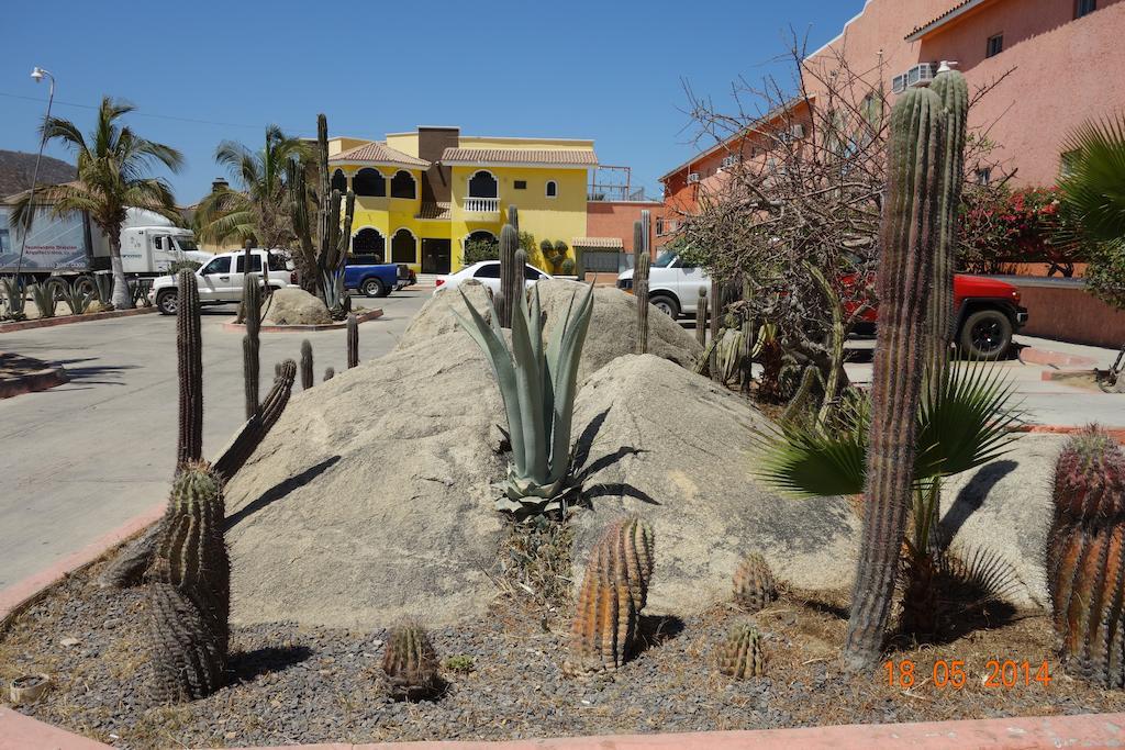 Hotel Oasis Los Cabos Cabo San Lucas Exterior photo