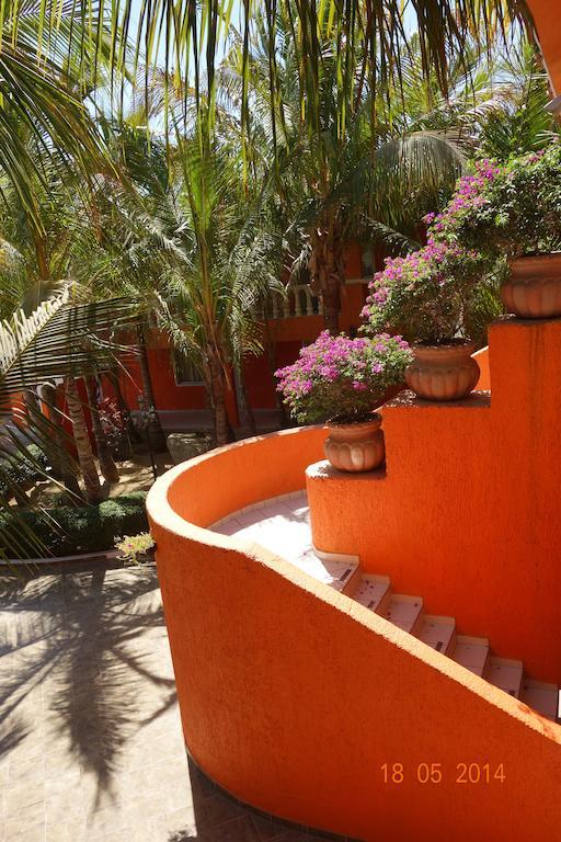 Hotel Oasis Los Cabos Cabo San Lucas Exterior photo
